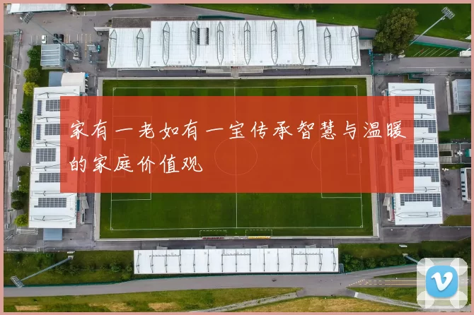 家有一老如有一宝传承智慧与温暖的家庭价值观